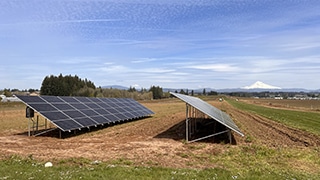 ground mounted solar panels installed by pure energy
